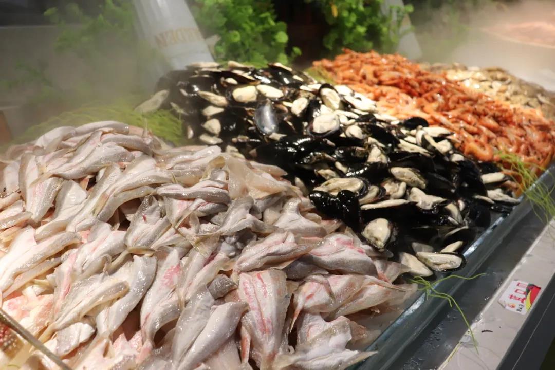 1626228595943702.jpg 1626228595943702.jpg