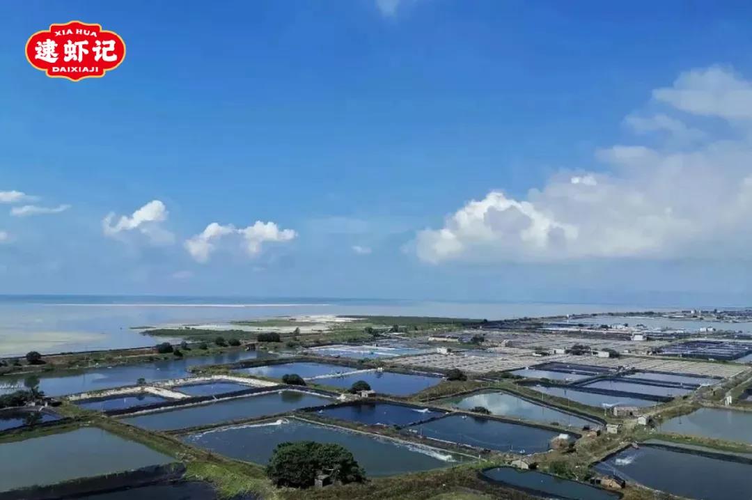 1635214063458028.jpg 1635214063458028.jpg