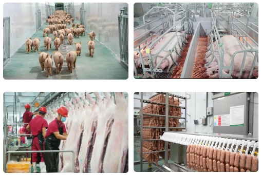 1743388749755785.png 微信截圖_20250331103856.png