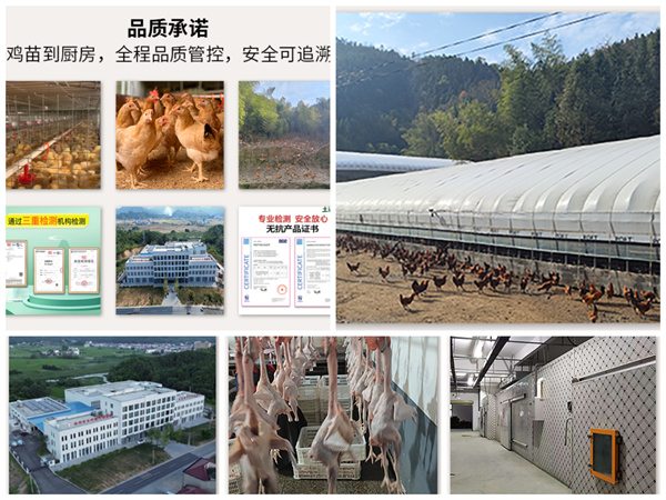 1751247712643859.jpg 微信圖片_20250630093339.jpg