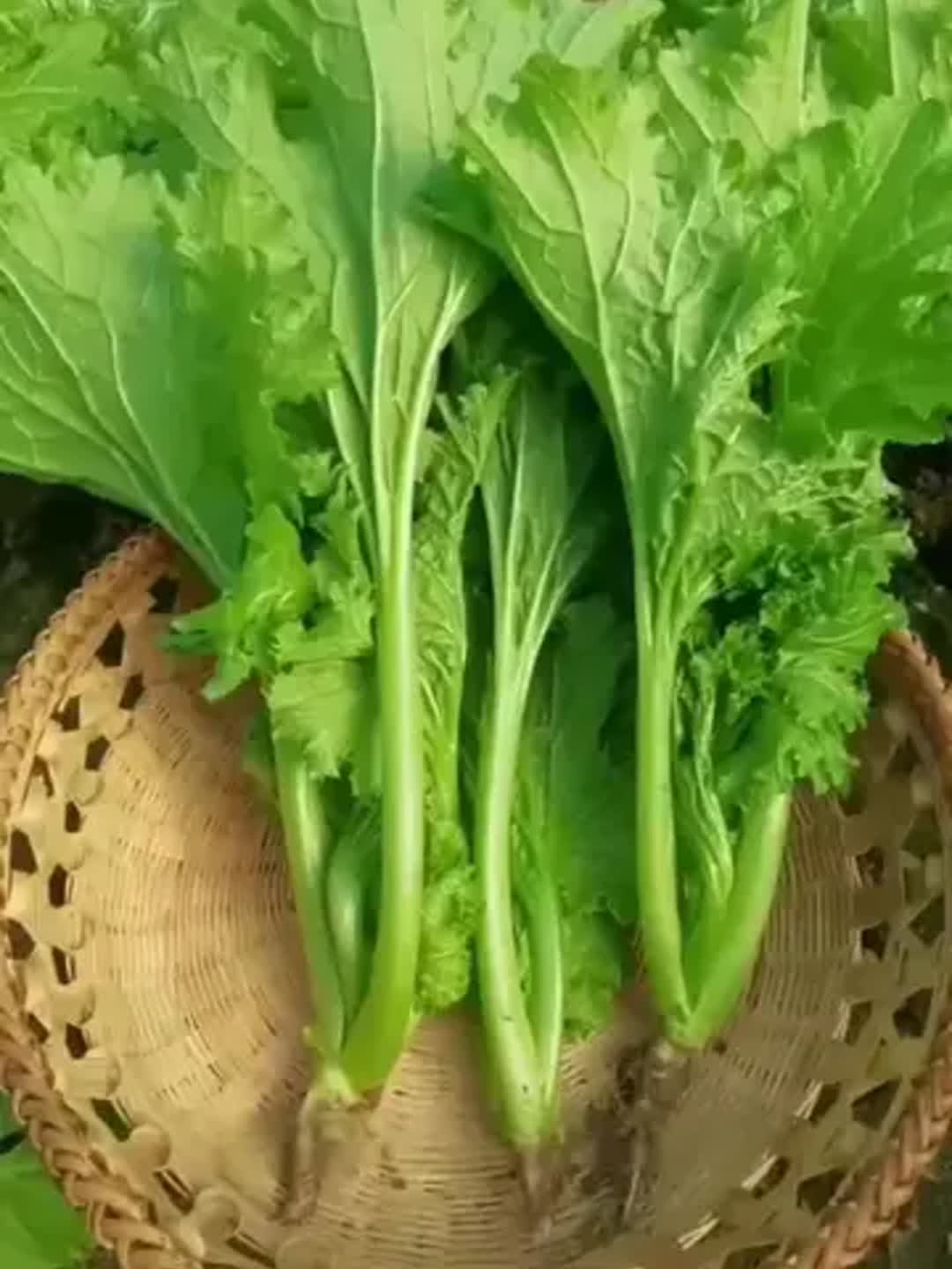 1753697592660445.png 1753697592660445.png