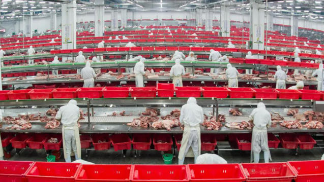 金鑼、郯潤、齊匯、瑞發(fā)德、喜姐炸串……山東臨沂“食力派”全鏈發(fā)力、高質(zhì)躍升